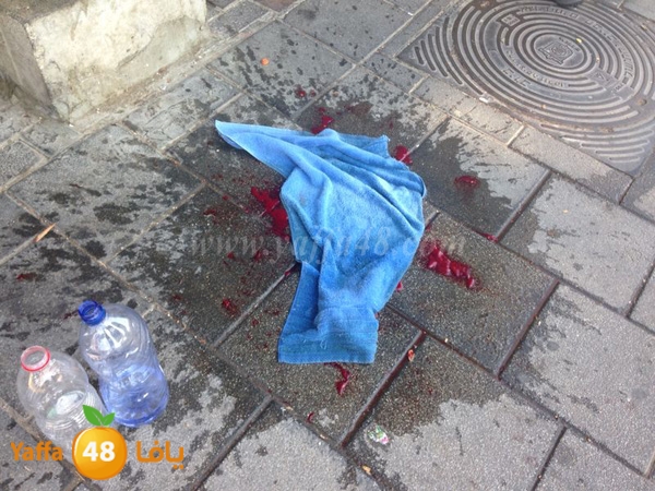 ta3n yefeieuti3 (7).JPG